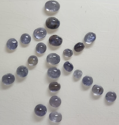 Iolites cabochons 12.5 carats